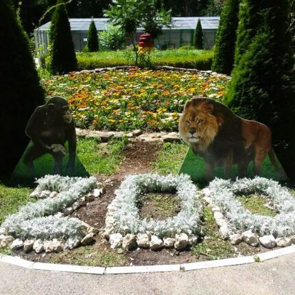 Ploiești - Zoo Bucov
