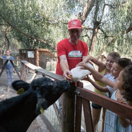 Vizită ghidată la Ferma animalelor