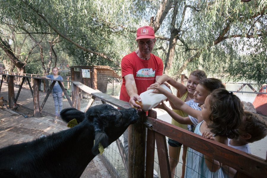 Ferma animalelor Ferma animalelor